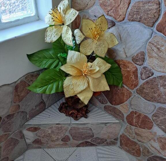 هاستل Kanalu Land