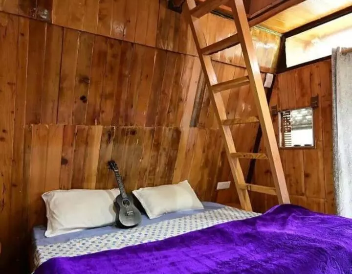 ホテル Muse Meadow Huts & Homestay
