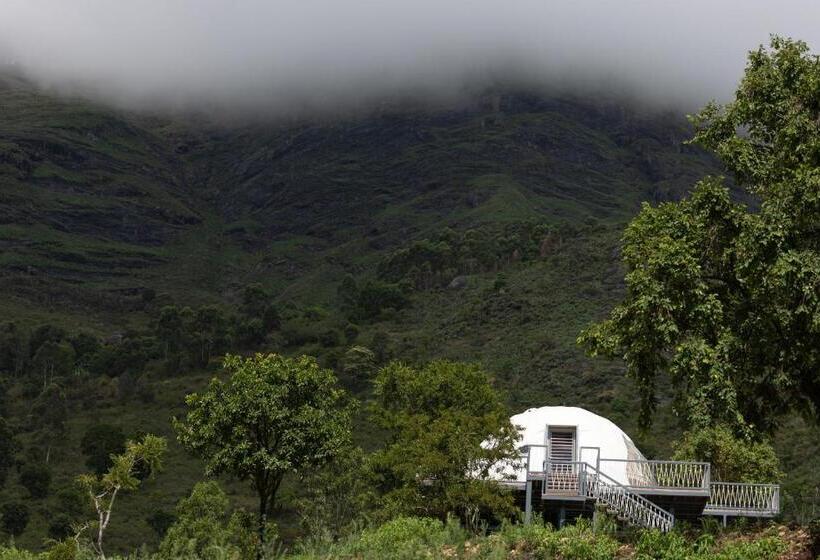 Szálloda Tomorrowland Farms And Suites