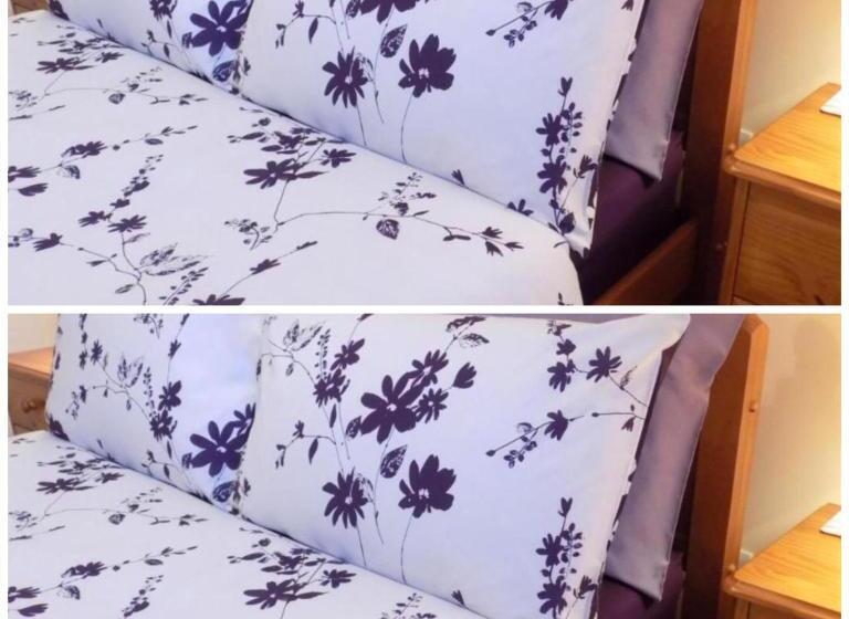 Pensiune 2 Br On Bus Route To Sty Town   No Breakfast   Crockery Cutlery Tidy Up Offered