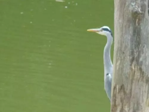 Majatalo La Suite Du Paysan