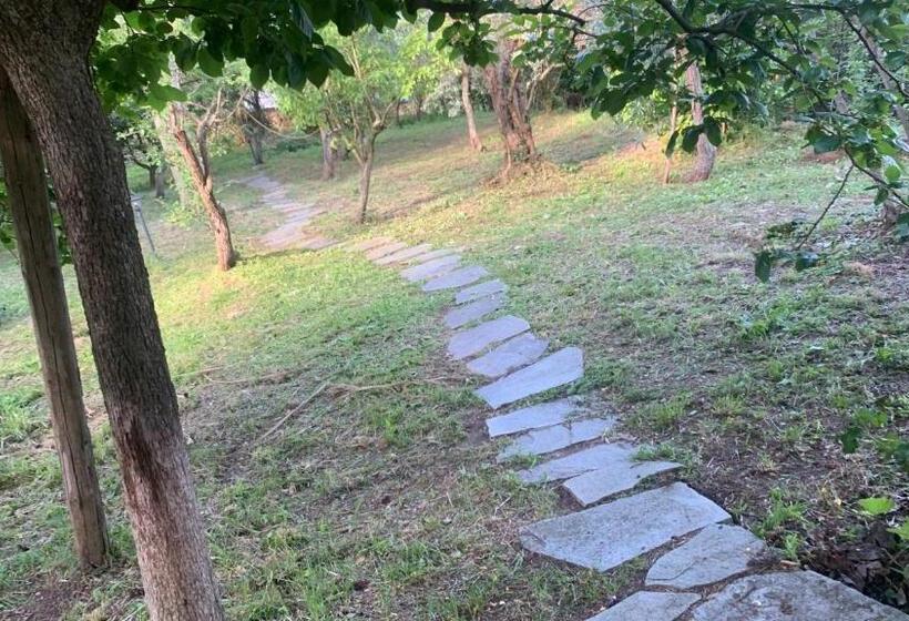 B&b Campagna Casagrande