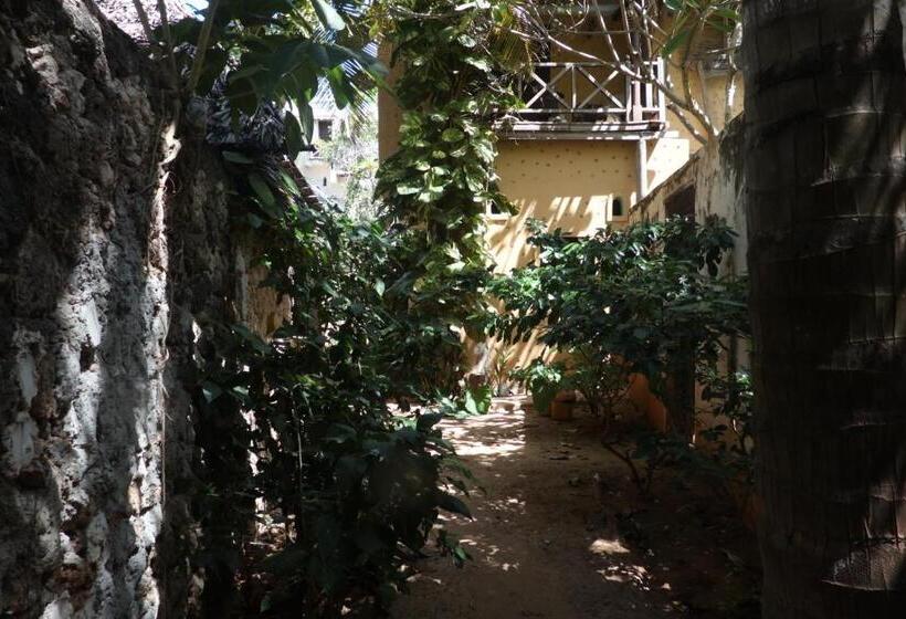 تختخواب و صبحانه Dune Sandcastle By Fatumas Tower