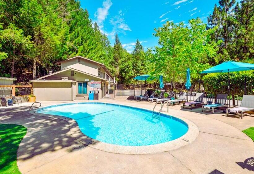 酒店 The Fainting Couch Boutique