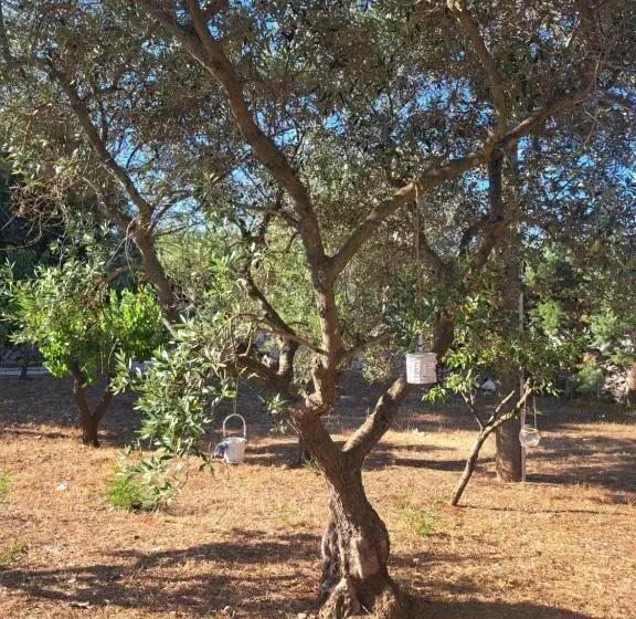 ペンション Viale Del Sole   Il Trullo