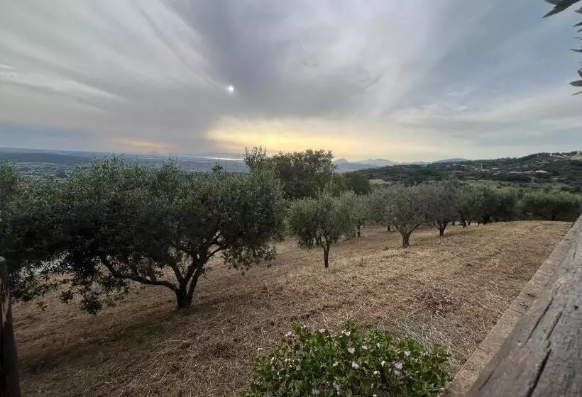 Aamiaismajoitus (B&B) Tenuta Raimo