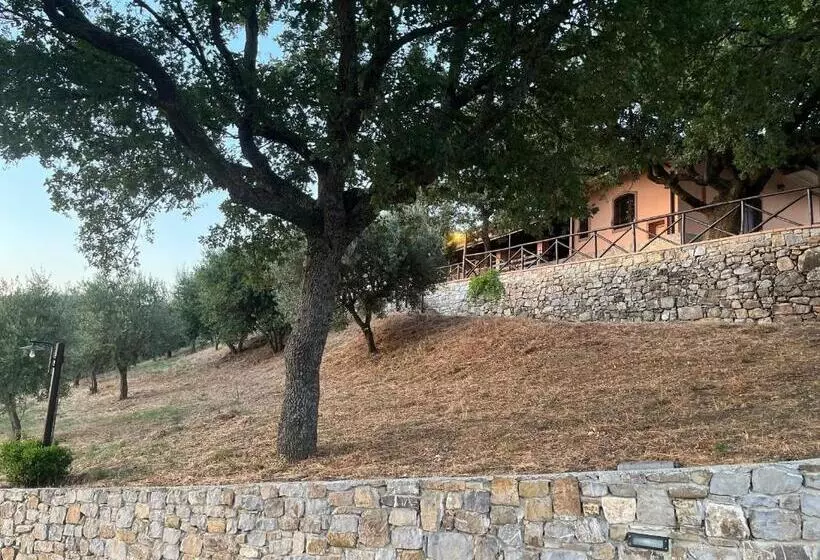 Aamiaismajoitus (B&B) Tenuta Raimo