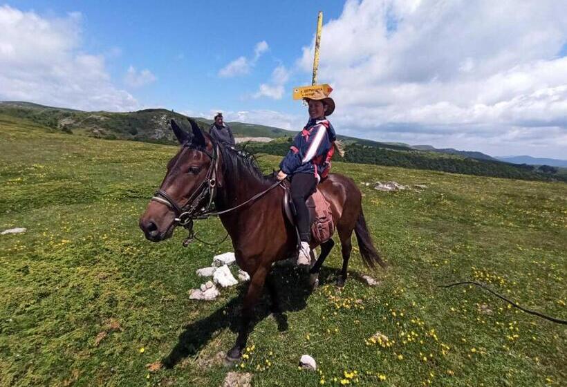 Hotel конна база югла