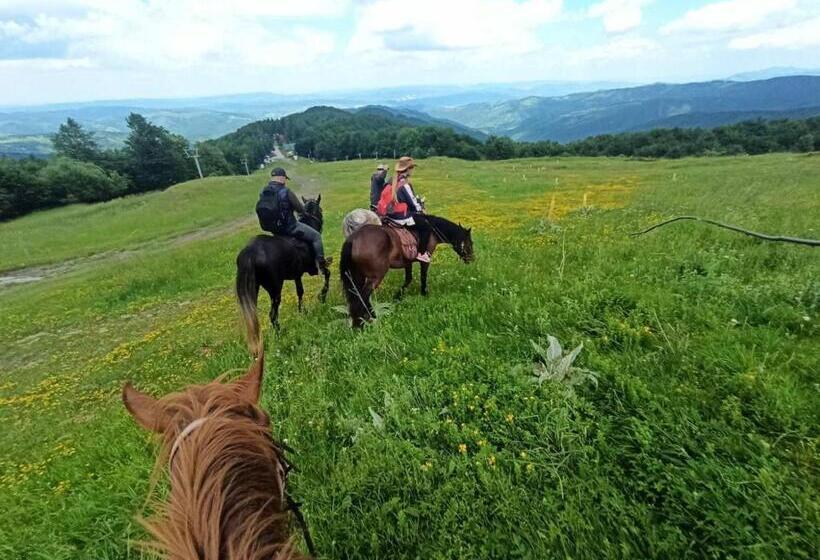 Hotel конна база югла