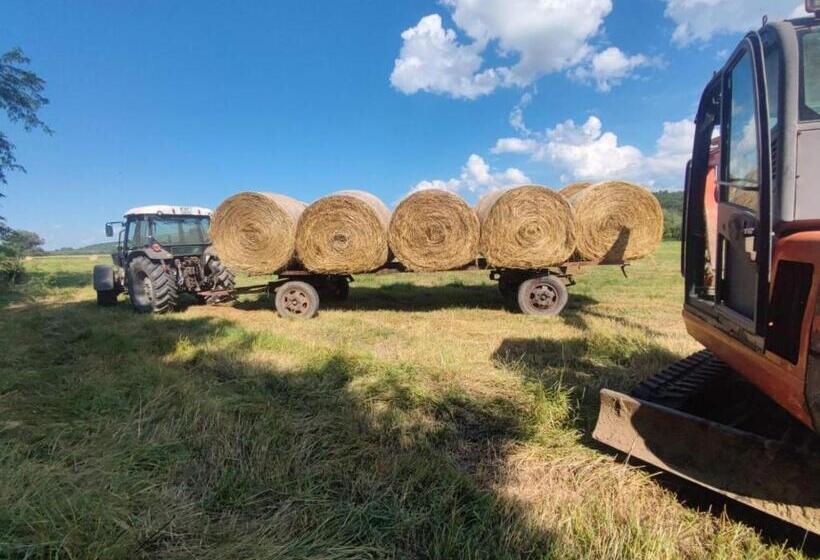 Hôtel конна база югла