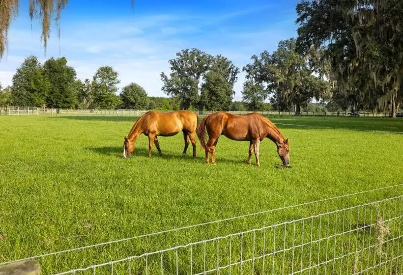 Hotelli Vista Verde Farm Retreat   Stylish Cabins Nearby Springs