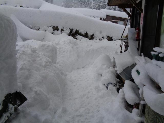 بنسيون Premium Guest House Alaskan Dream