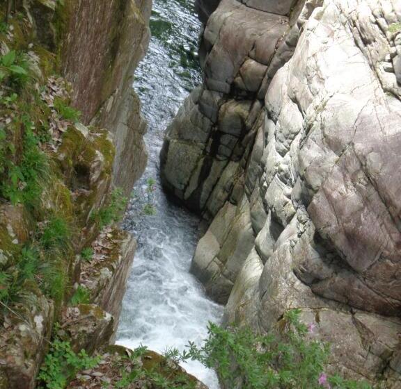 بنسيون Premium Guest House Alaskan Dream