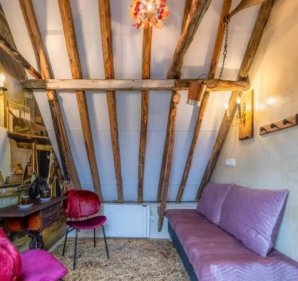 Aamiaismajoitus (B&B) Unieke Bed En Breakfast Met Historisch Verhaal In Ferwert