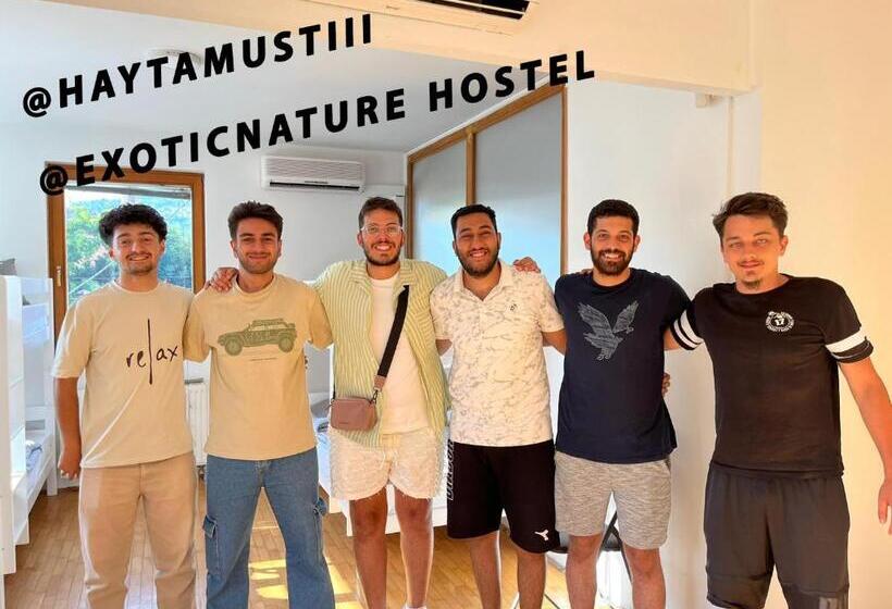 Exotic Nature Hostel