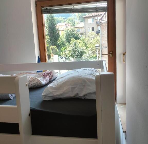 Exotic Nature Hostel