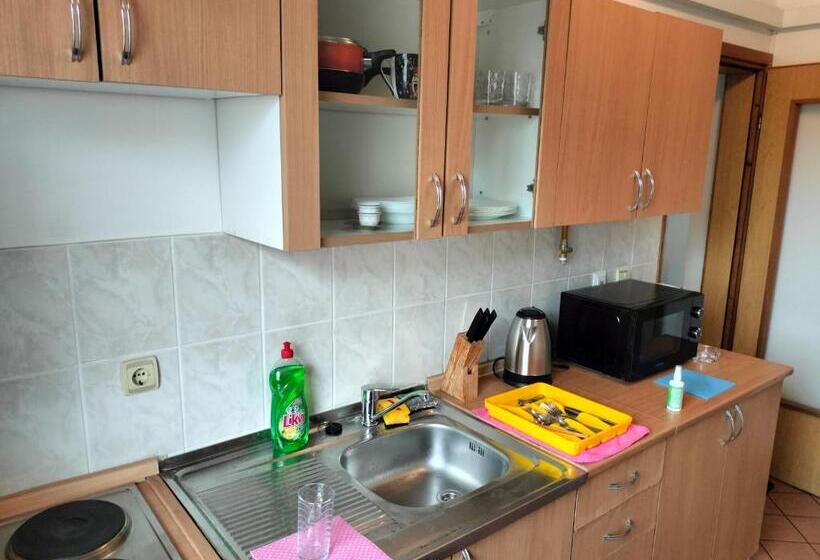 Exotic Nature Hostel