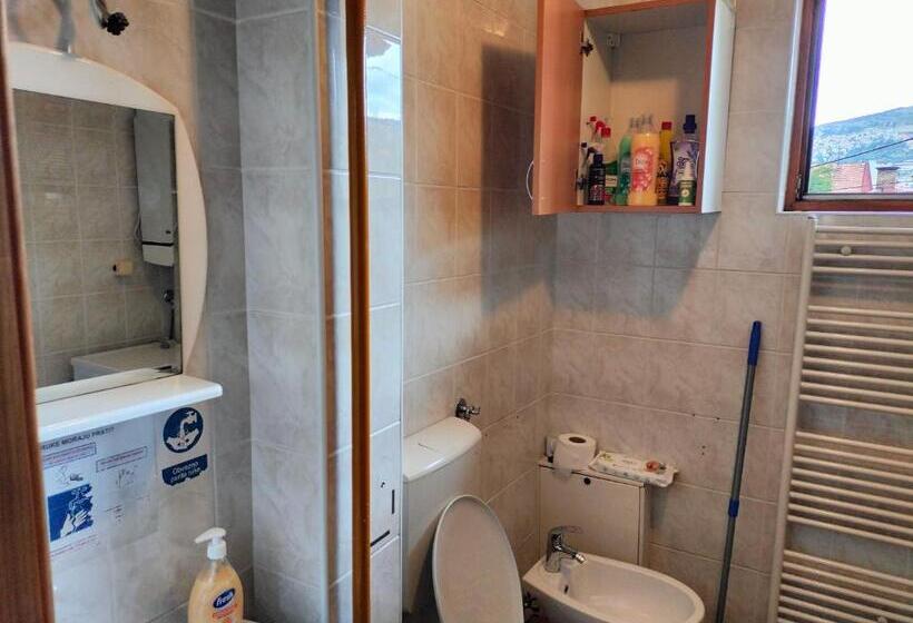 Exotic Nature Hostel