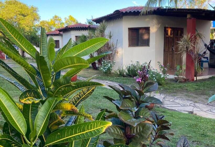 پانسیون Room In Cabin Cabana With Breakfast And Pool On The Beach