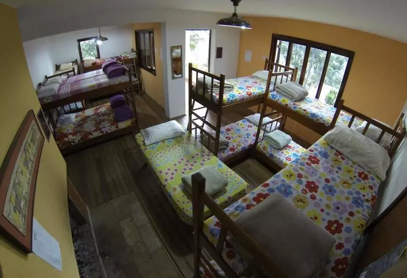 Hôtel Hostel Picus