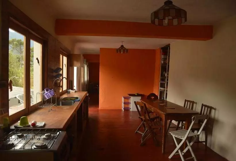 Hôtel Hostel Picus
