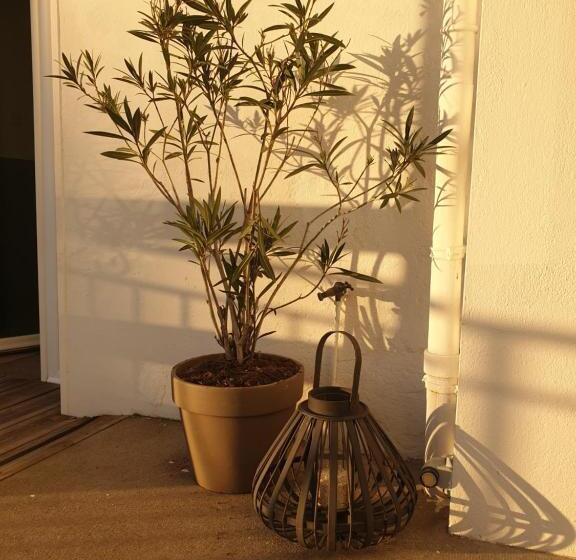 펜션 La Moutonne Des Landes De Lanvaux