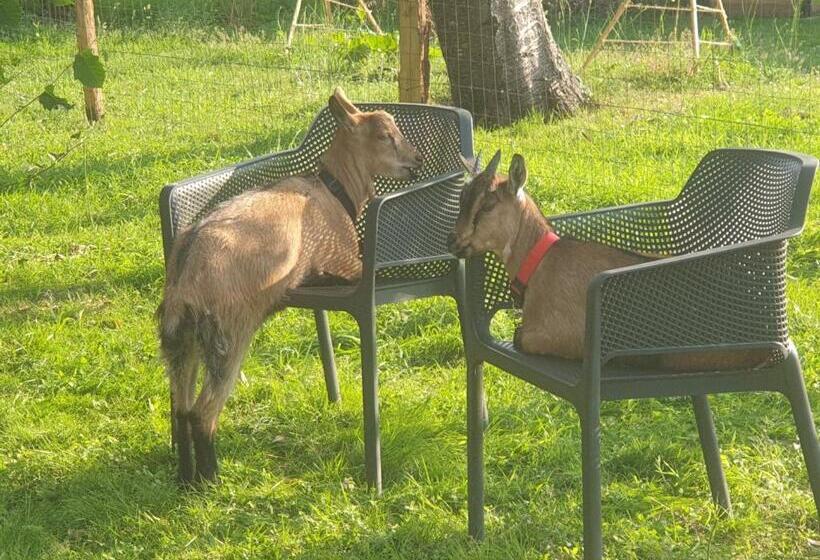 펜션 La Moutonne Des Landes De Lanvaux