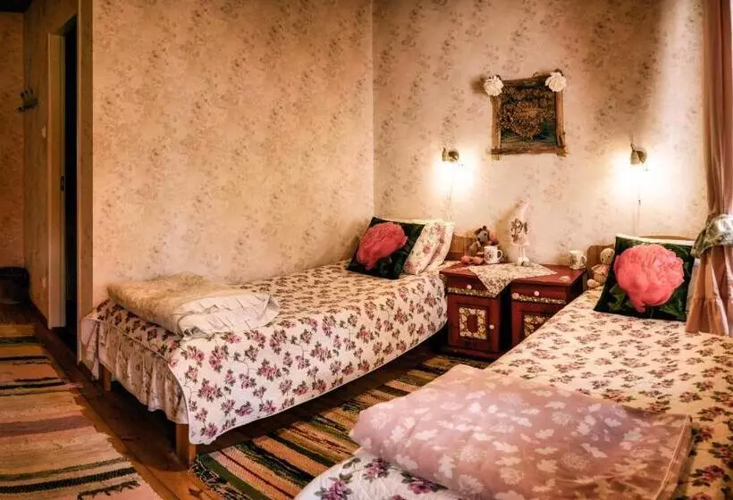 پانسیون Vaskna Turismitalu