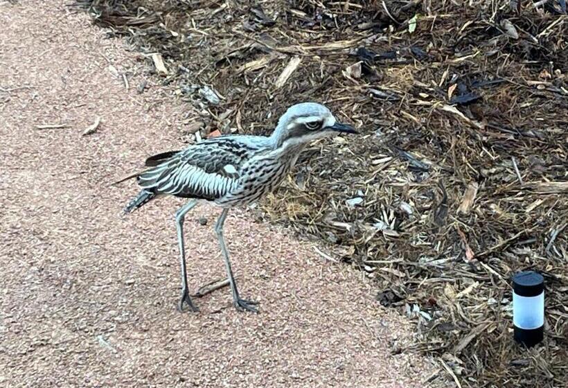 リゾートホテル Magnetic Glamping Tent 9