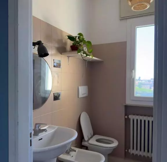 B&b Placidia