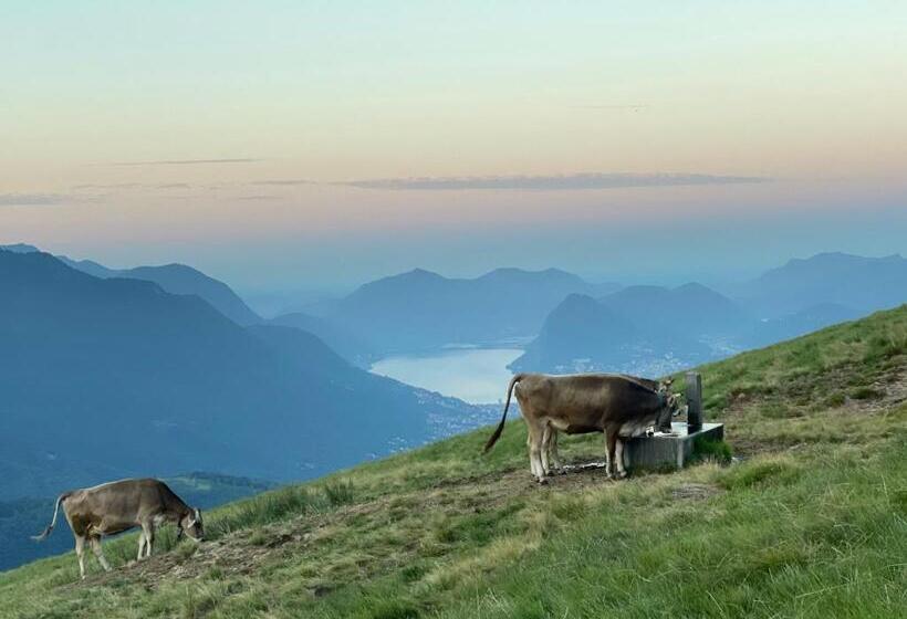 Отель Agriturismo Alpe Rompiago