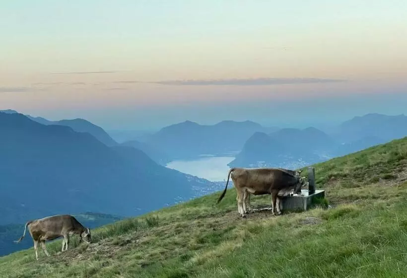 ホテル Agriturismo Alpe Rompiago