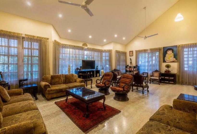 Pensão Saffron Leaf W567