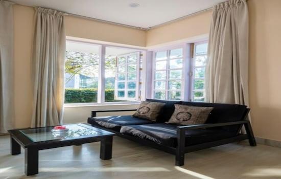 Pensão Saffron Leaf W567