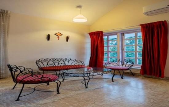 Pensão Saffron Leaf W567