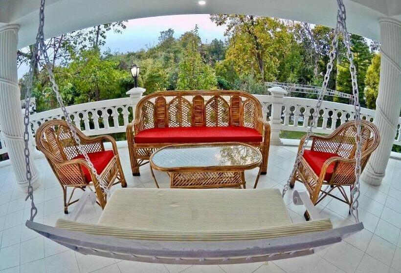 Pensão Saffron Leaf W567