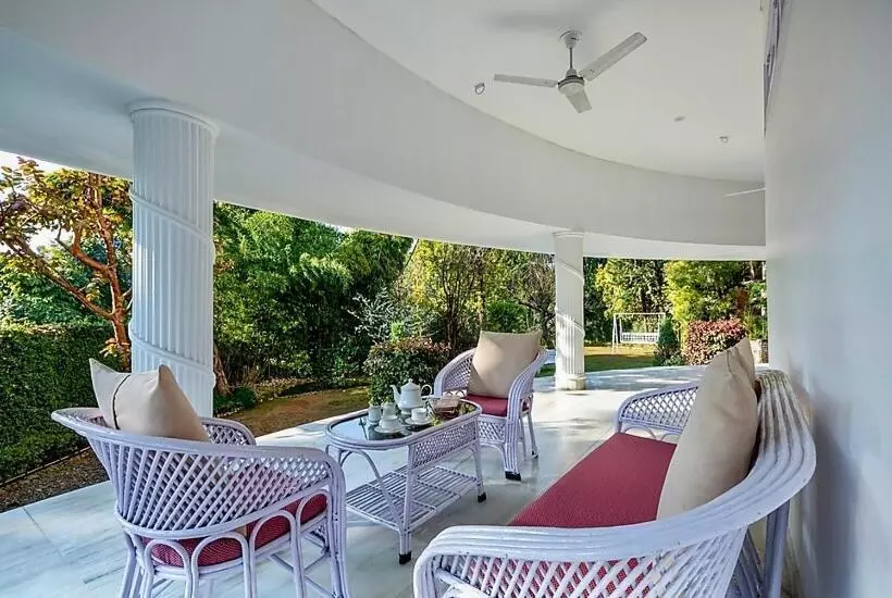 Majatalo Saffron Leaf W567