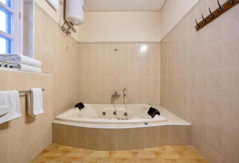 Pensão Saffron Leaf W567