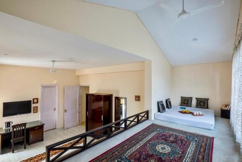 Pensão Saffron Leaf W567