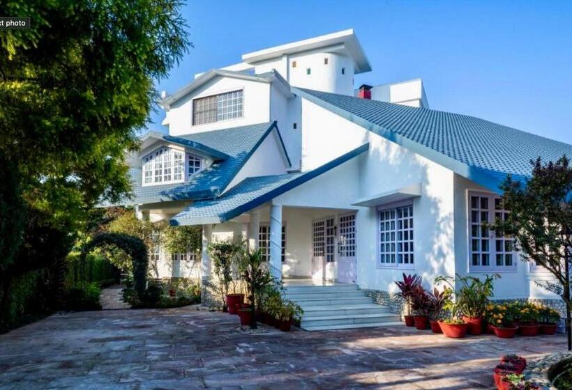 Pensão Saffron Leaf W567