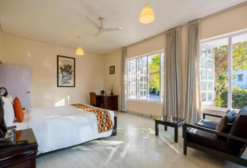 Pensão Saffron Leaf W567