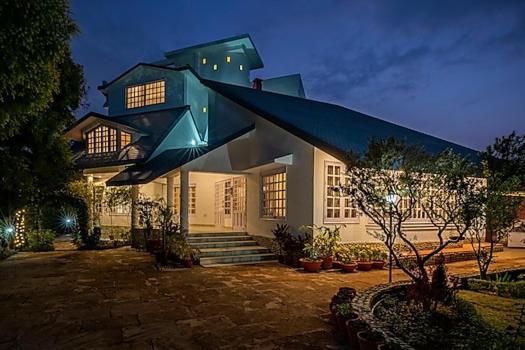 Pensão Saffron Leaf W567