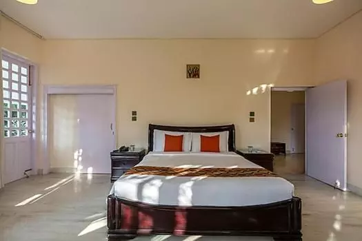 Majatalo Saffron Leaf W567