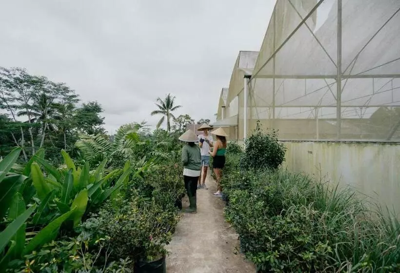ホテル Sunyi Ubud