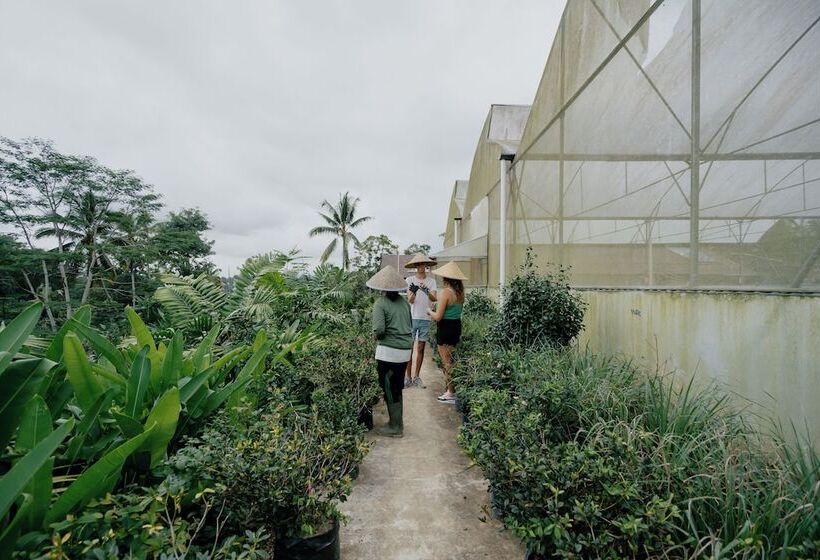 ホテル Sunyi Ubud
