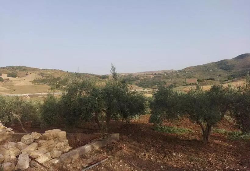 پانسیون Suite Natura