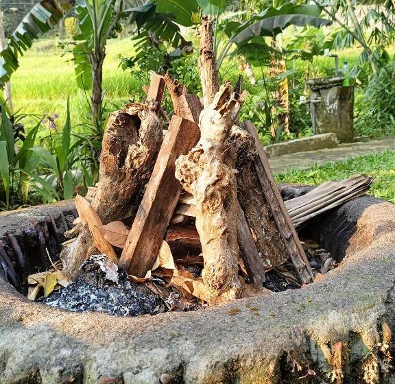 Pensiune Ranggon D Tukad