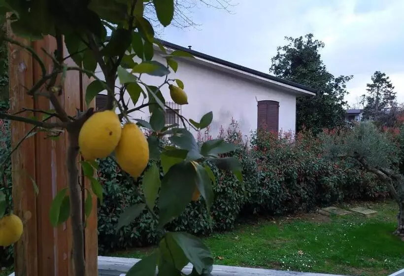 Villa Degli Ulivi