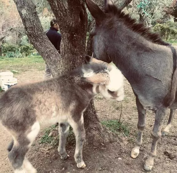 هتل Agriturismo Donnomarco