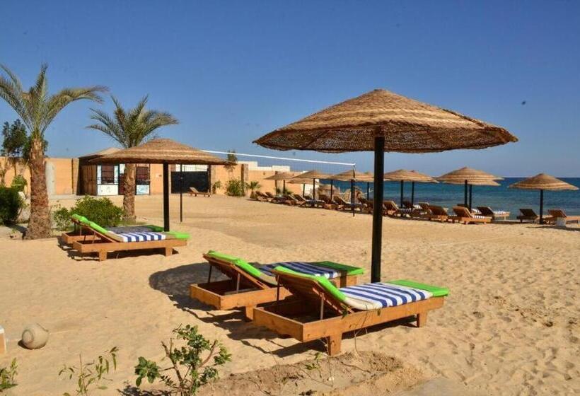 Dolphin Hotel Safaga